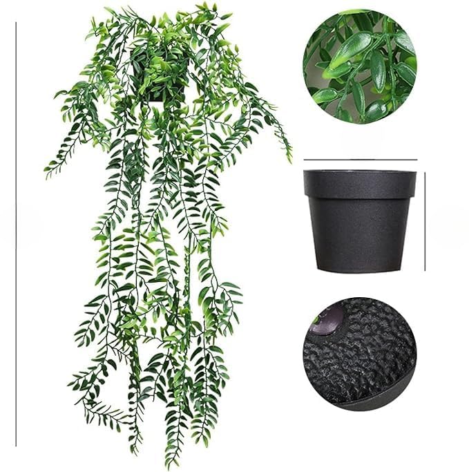 Boston Ivy Hanging Plant With Ceramic Pot