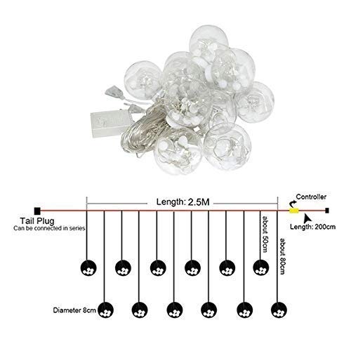 XERGY 12 Wishing Ball LED Curtain String Lights with 8 Flashing Modes Lights for Home Decoration Wedding, Diwali Party,Home Decor, Patio Lawn Light (96 LED,Multi)