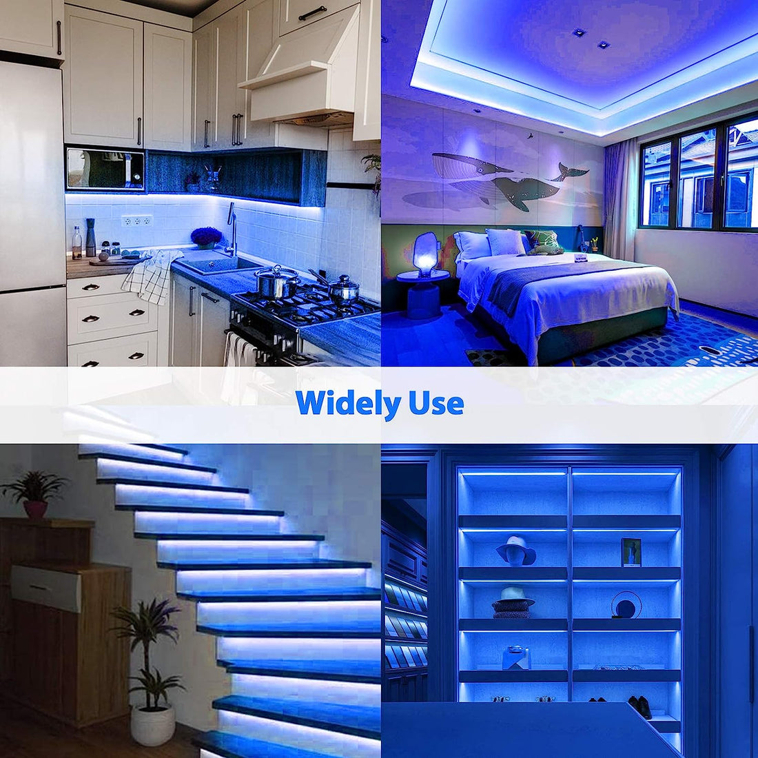 LED Neon Strip Lights - 5 Meter ( Blue )