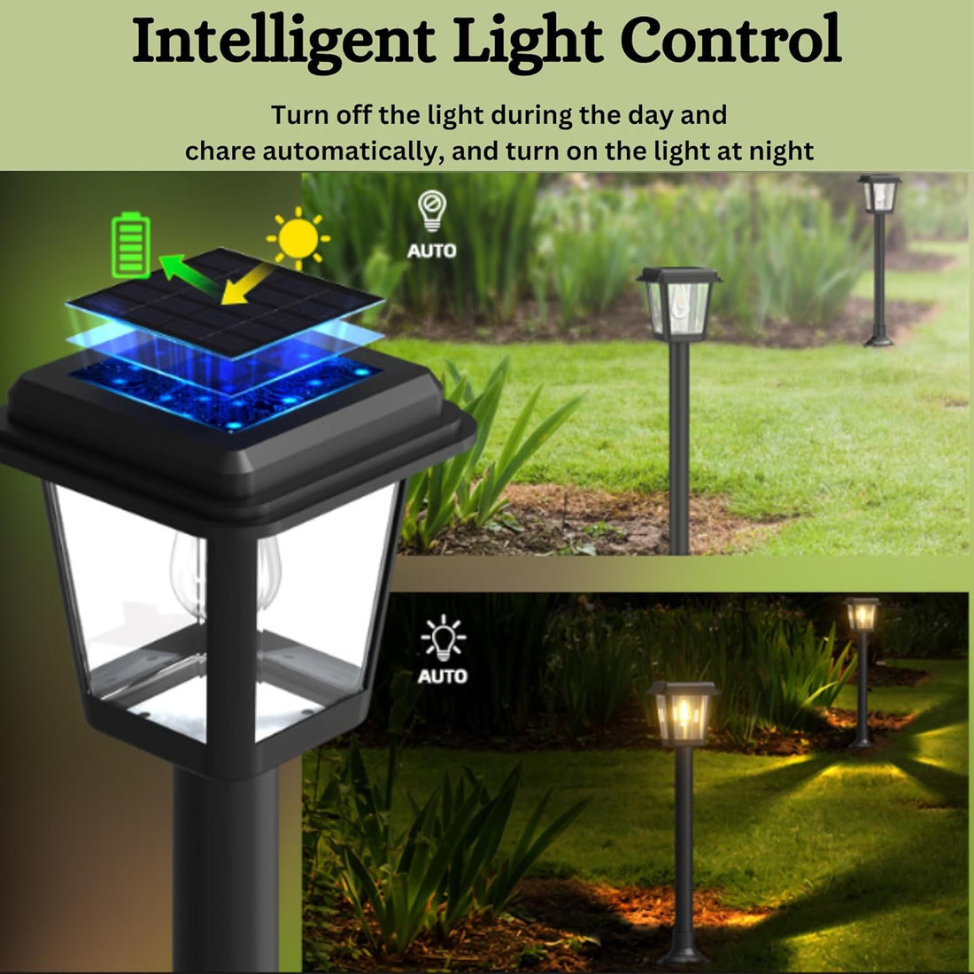 Solar-Powered LED Pathway Lights