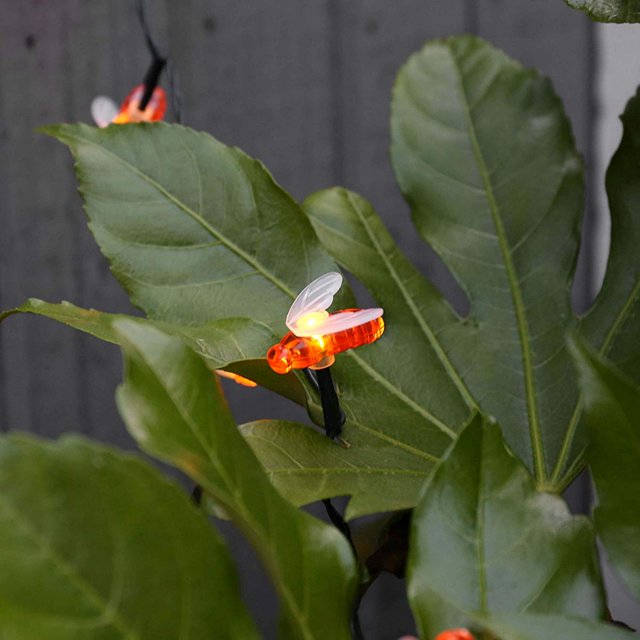 16 LED Honeybee String Fairy Lights - 3 Mtr ( Warm White )