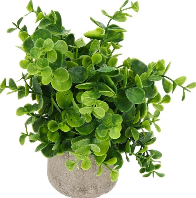 Artificial Eucalyptus Plant With Stonepot