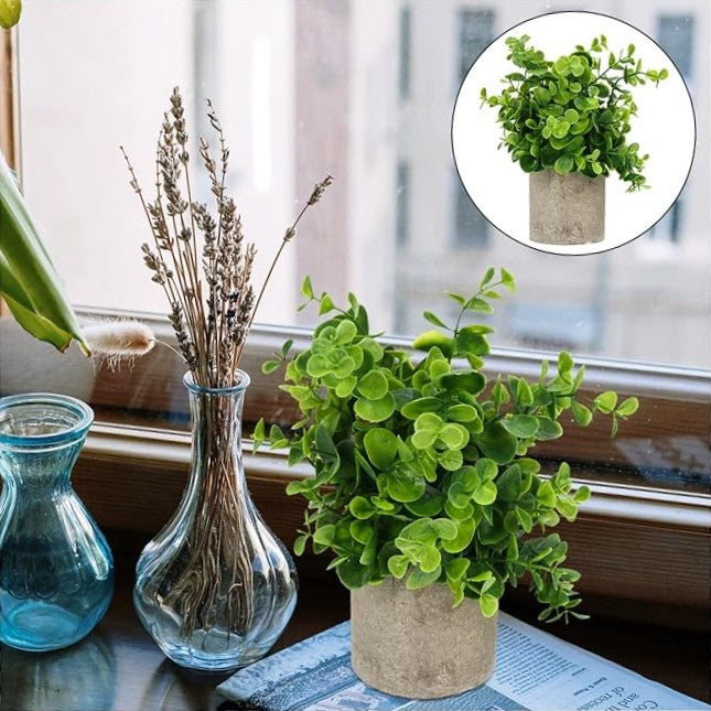 Artificial Eucalyptus Plant With Stonepot
