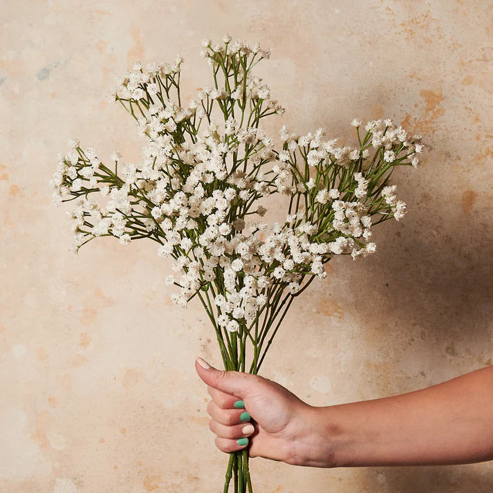 Artificial Baby Breath Real Touch Flower - Creme (20 inch , Pack of 4, Flower Bunch)