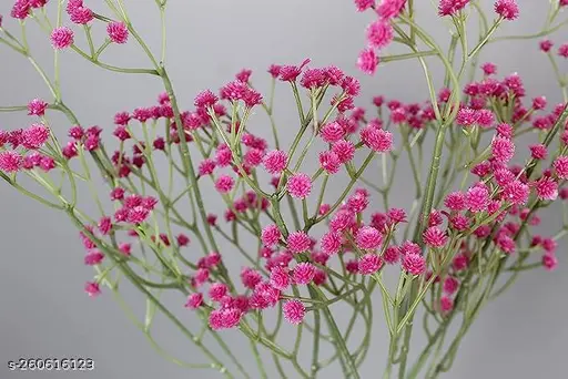 Artificial Baby Breath Real Touch Flower - Dark Pink(20 inch , Pack of 4, Flower Bunch)