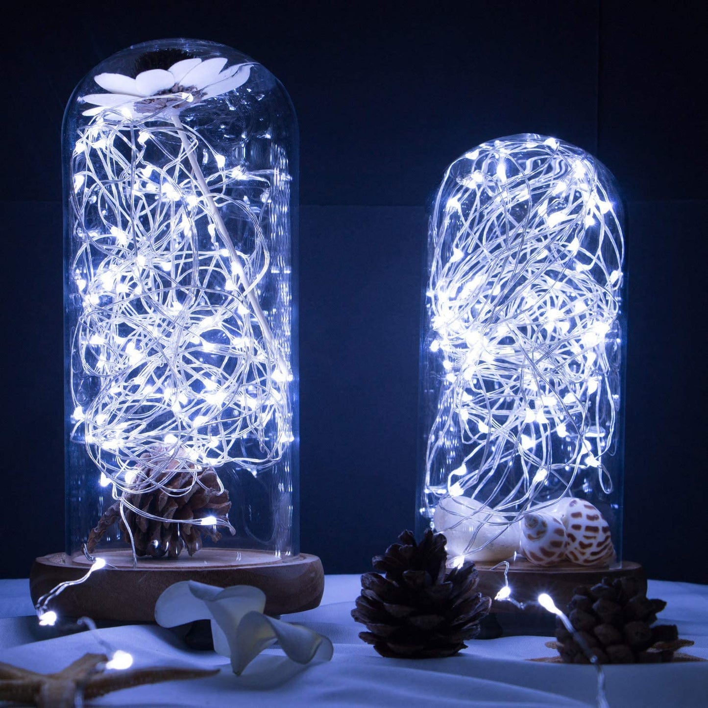USB Powered 100 LED Fairy String Light With Remote- 10 Meter ( Cool White )