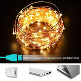Fairy String Light 10 M 100 LED's Light Waterproof Warm White (Pack of 1)