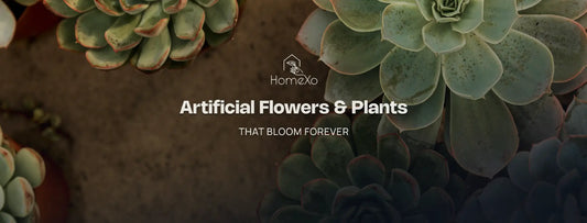 Potted Plants