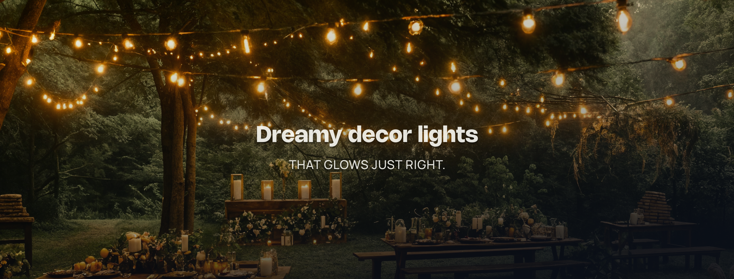 Decorative Lights