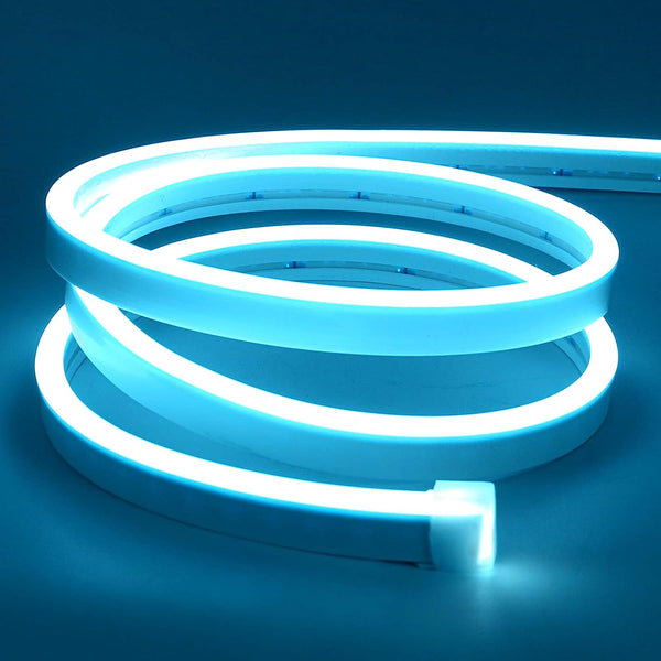 Xergy LED Neon Strip Lights 5Meter, IP67 Waterproof Neon Rope Light for Indoor Outdoor Home Decoration (Ice Blue, 12V 2A Power Adapter Included)