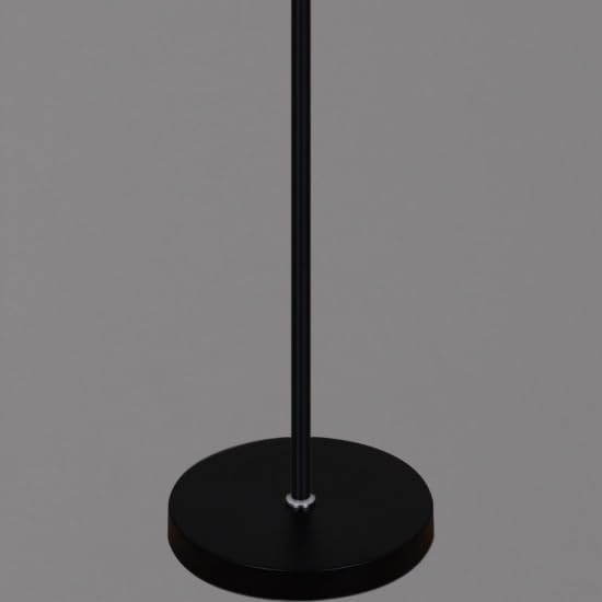 24W Adjustable Gooseneck Modern Floor Lamp (Bulb Not Included)