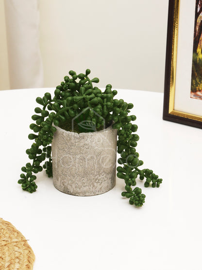 HomeXO Artificial String of Pearls Potted Plant: Lifelike Beauty for Home, Office, and Kitchen Decor, Maintenance-Free and Stunning