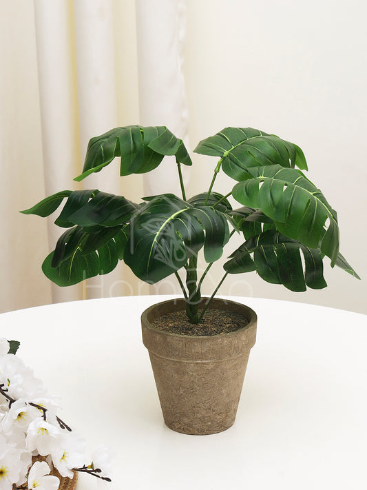 HomeXO Artificial Stonepot Green Monstera Plant Faux Fake Tropical Leaves Plant, Elevating Home Balcony and Garden Areas with Rustic Charm and Maintenance-Free Elegance