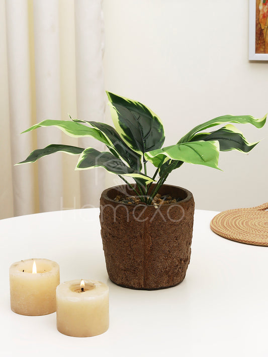 HomeXO "Artificial Stonepot Green Leaf Plant, Elevating Home Balcony and Garden Areas with Rustic Charm and Maintenance-Free Elegance