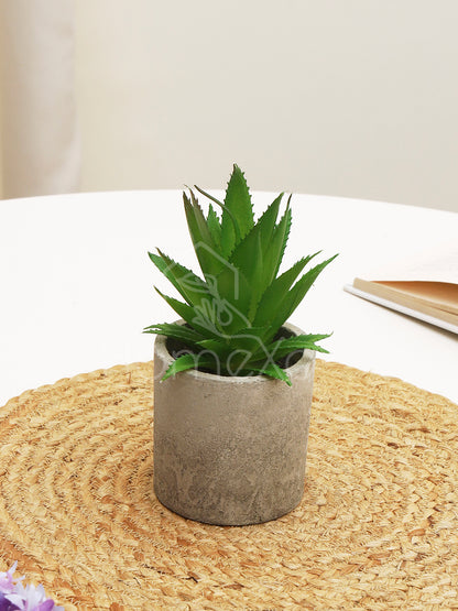 HomeXO Artificial Aloe Vera Plant in Rustic Stone Pot: Lifelike Beauty, Natural Resilience, No Maintenance, and No Watering Needed for Home and Office Décor