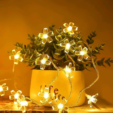 XERGY Silicone Flower LED String Fairy Lights Outdoor and Indoor for Home Decoration Light, Diwali Lights & Christmas,Party (Warm White,Corded Electric) 20 LED's 5 Meter
