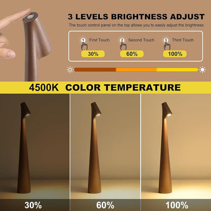 Portable LED Table Lamp - Brown