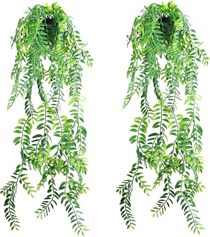 Boston Ivy Hanging Plant With Ceramic Pot