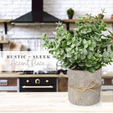 HomeXO Artificial Potted Plants Eucalyptus Fake Plants in Pots Small House Plants 9.45" Tall for Indoor Greenery Tabletop Decor Centerpiece
