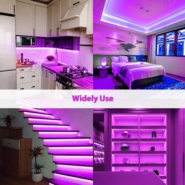 Xergy LED Neon Strip Lights 5Meter, IP67 Waterproof Neon Rope Light for Indoor Outdoor Home Decoration (Purple, 12V 2A Power Adapter Included)