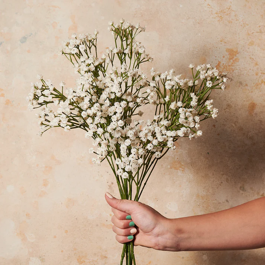 HomeXO Artificial Flower Baby Breath 4cs (Creme)