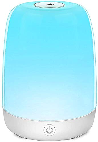 13 Color Changing Touch Control Smart LED Table Lamp