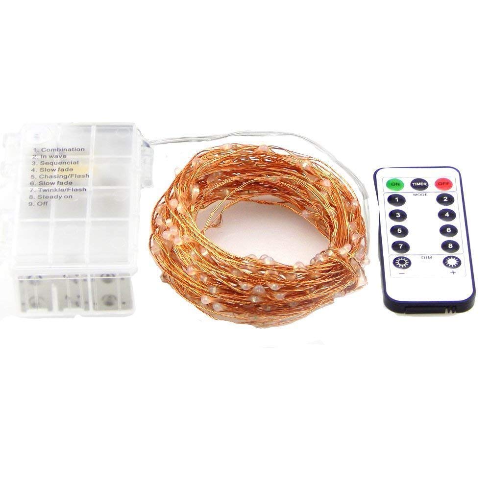 String Lights 10 M 100 LED's Battery Box and Remote Warm White (Pack of 1)