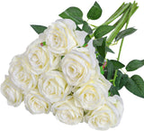 Xergy 12 Pcs Rose Flowers Artificial Faux Silk Roses Height 10.6" White Color ,12 pcs  Leaves and Stems Real Looking Roses Fake Rose for Vases DIY Bouquets for  Home Decor (White)