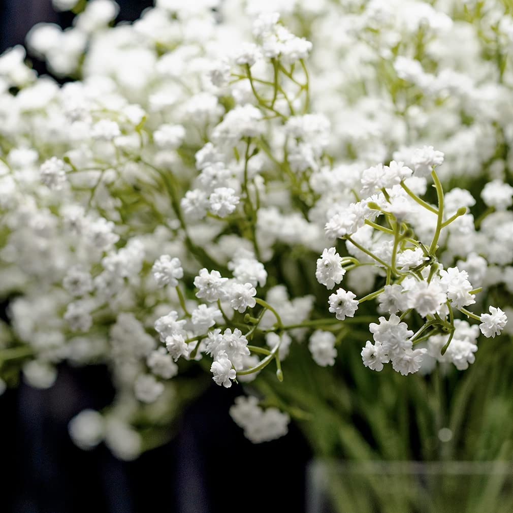 Artificial Baby Breath Real Touch Flowers - White (20 inch, Pack of 4, Flower Bunch)