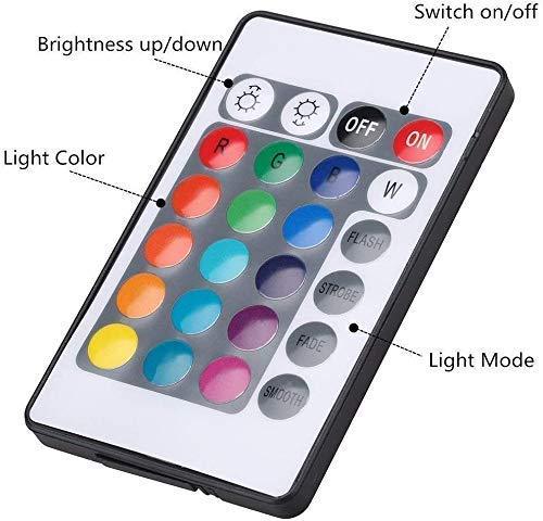 Xergy RGB multicolor Remote controller for Moon lamp