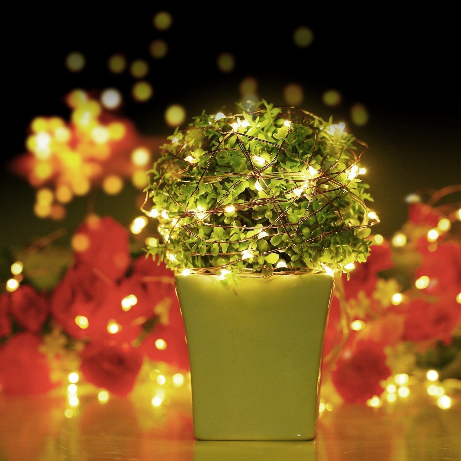 Starry String Light Warm White Battery Powered Button Light (Pack of 4)